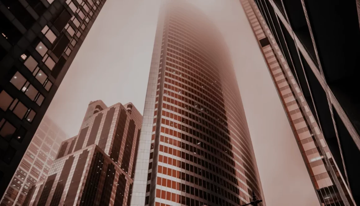 consulting consulting